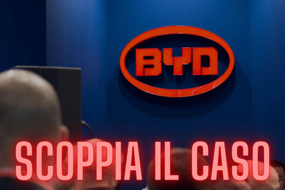 caos byd